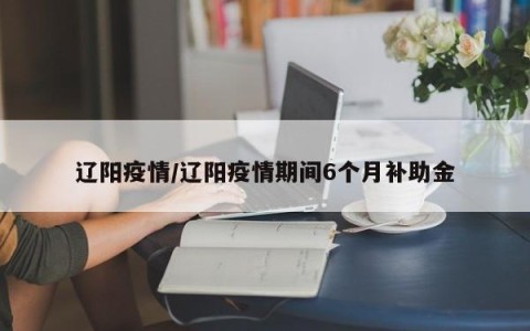 辽阳疫情/辽阳疫情期间6个月补助金