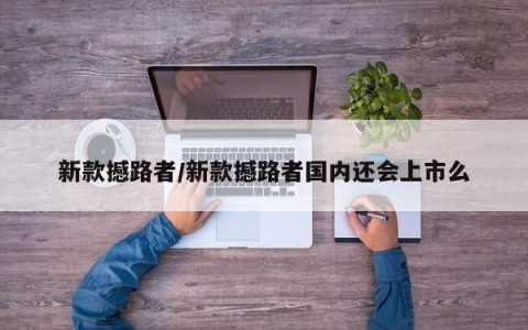 新款撼路者/新款撼路者国内还会上市么